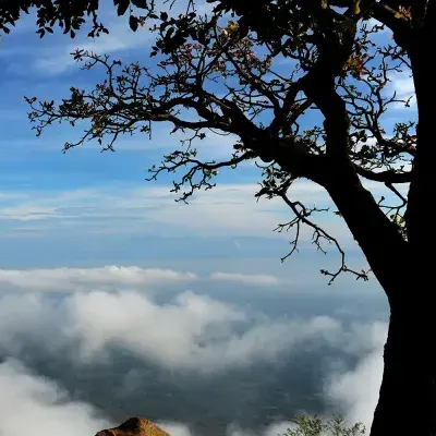 Nelliyampathy hill station – Palakkad Kerala tour