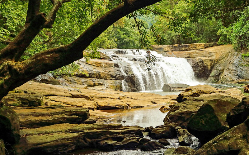 Thommankuthu seven-step waterfalls trek – Idukki Kerala adventure destination